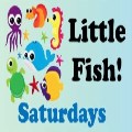 Little Fish! Saturdays